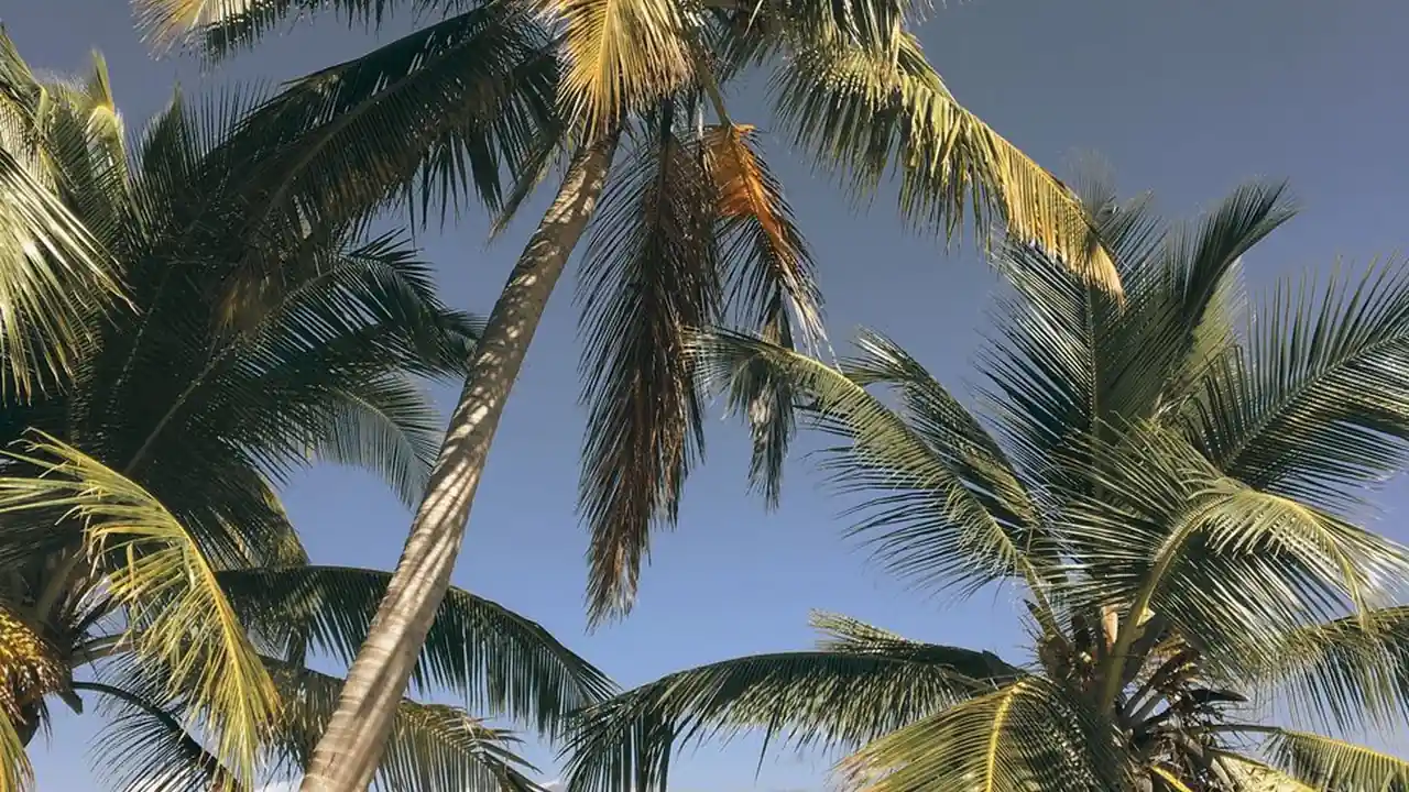 一起c17C16.图标